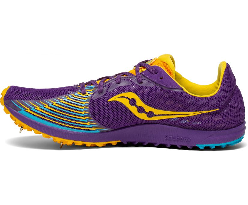 Saucony Kilkenny Xc9 Spike Women's Running Shoes Purple / Gold | Canada 163UZGT